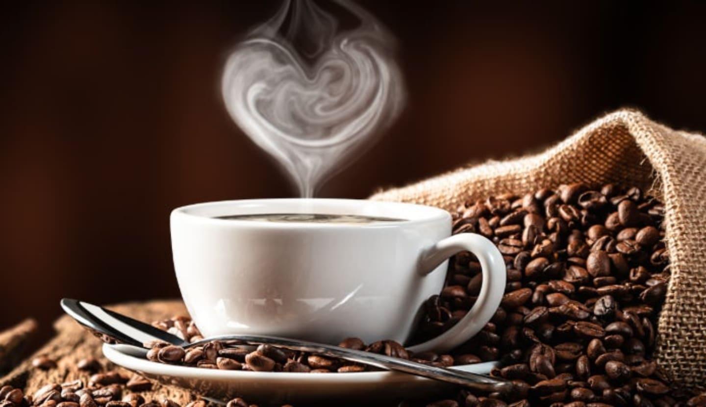 Top Picks for Coffee Lovers